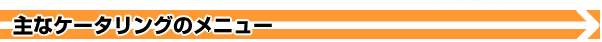 主なケータリングのメニュー